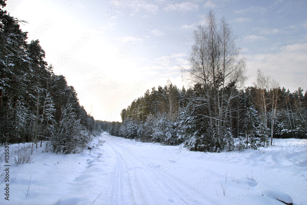Fototapeta premium Walk through the beautiful places frosty Russian winter