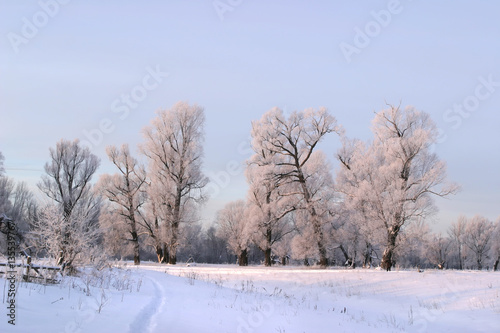 a long walk in nature snowy Russian winter