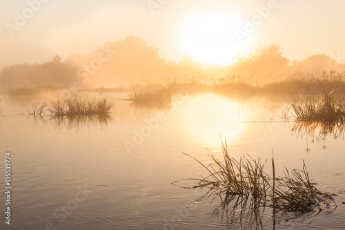 Foggy sunrise on a Teterev river in Polesie