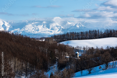 美瑛から見る冬の十勝岳