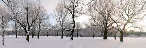 a long walk in nature snowy Russian winter © salman2