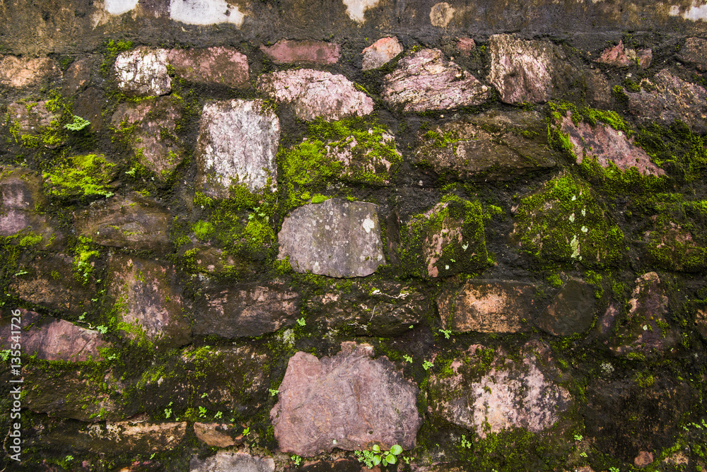 Green moss on the Tomb wall from the old vietnamese temple