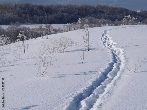 Winter landscape path at snow field