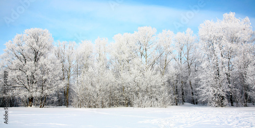 Russian winter in January