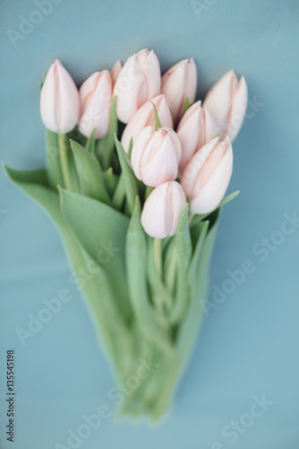 Fresh pink tulip flowers bouquet