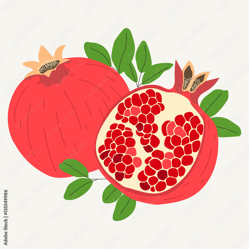 Hand drawn pomegranates in one piece and sliced in half isolated on white background. Vector illustration. Hand drawn pomegranates in one piece and sliced in half isolated on white background. Vector illustration.
