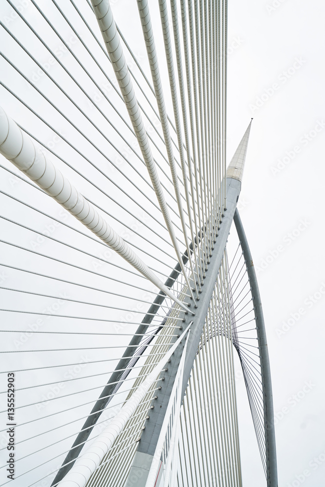 Obraz premium Futuristic Bridge