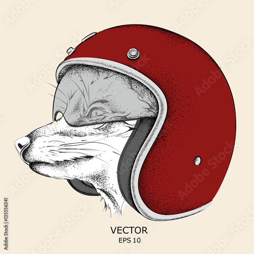Fox in a motorcycle helmet. Vector illustration