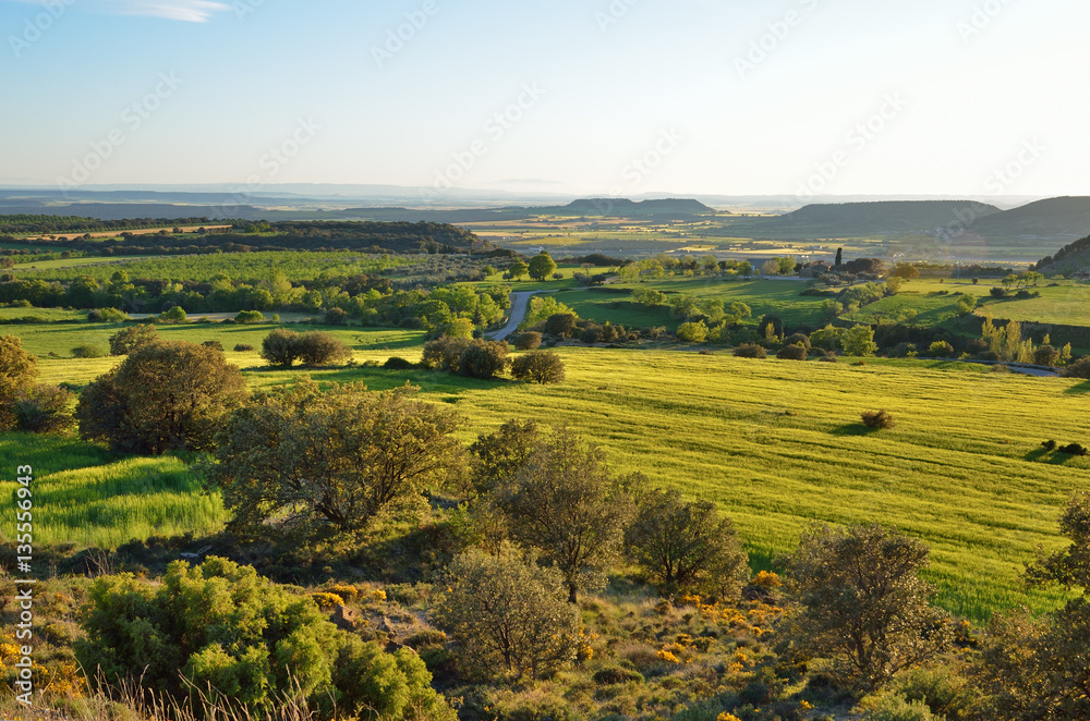 Spring view of the Spanish plain with hills