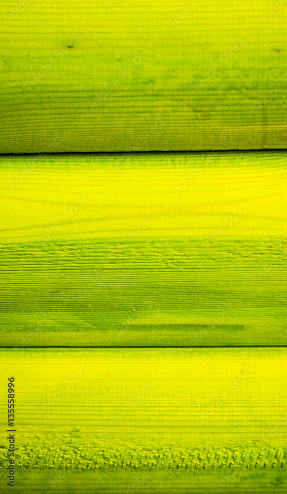 green logs in a cafe on walls to brightly colored