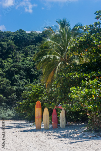 Beautiful surfboard shot on Lopes Mendes beach in Big Island, Brazil. Behind the jungle and the blue sky. photo