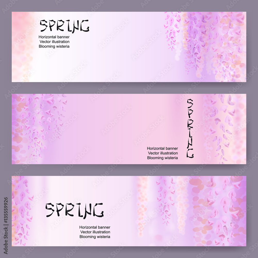 Spring background with blooming wisteria