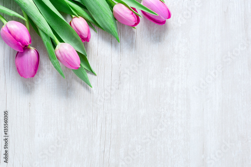Fototapeta Naklejka Na Ścianę i Meble -  Frische Tulpen auf Holz Hintergrund - Frauentag - Valentinstag -