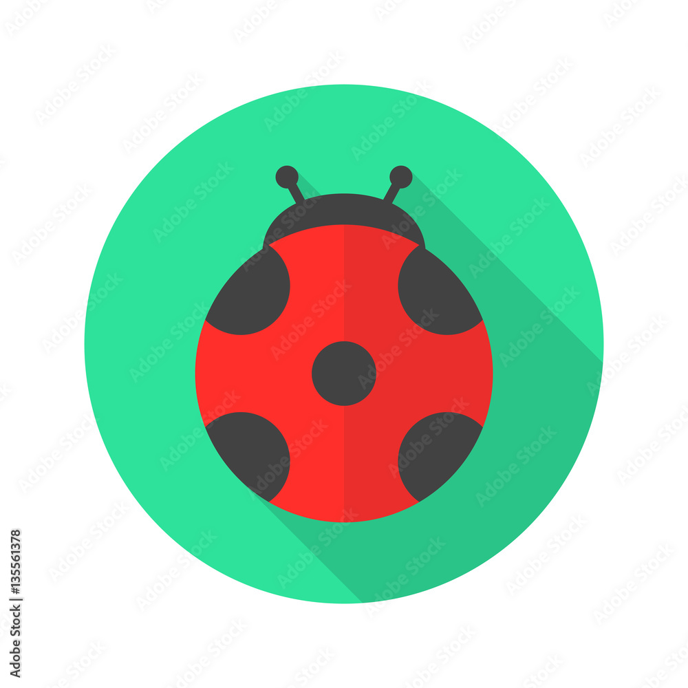 Fototapeta premium Ladybug flat design icon