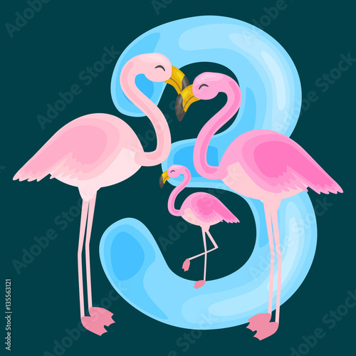 ordinal number 3 for teaching children counting three flamingos with the ability to calculate amount animals abc alphabet kindergarten books or elementary school posters collection vector illustration