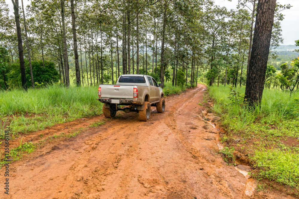  Off road pickup truck in the forest. - obrazy, fototapety, plakaty 