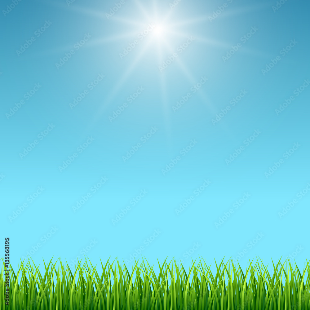 Clean blue sky and green grass vector background