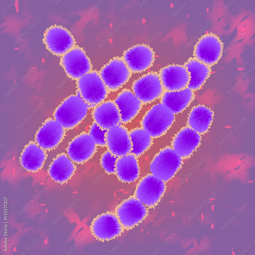 Bacterium in vector 