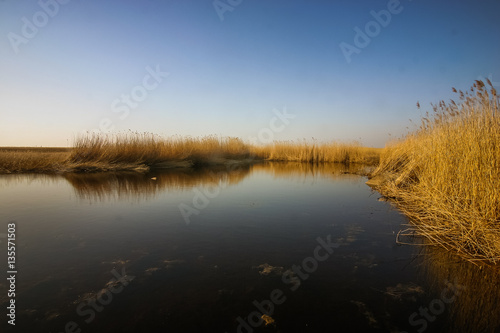 A beautiful norther Europe landscape with a lake in early spring