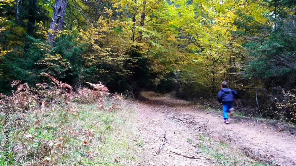 Little boy running in the woods, autumn