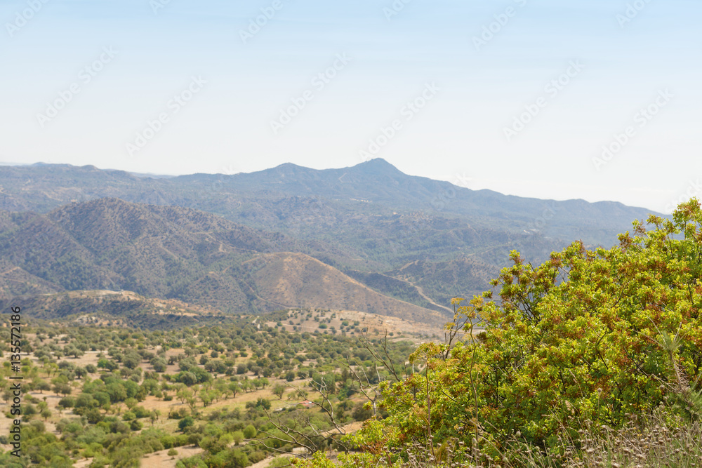 wooded slopes of the Troodos mountain in Cyprus