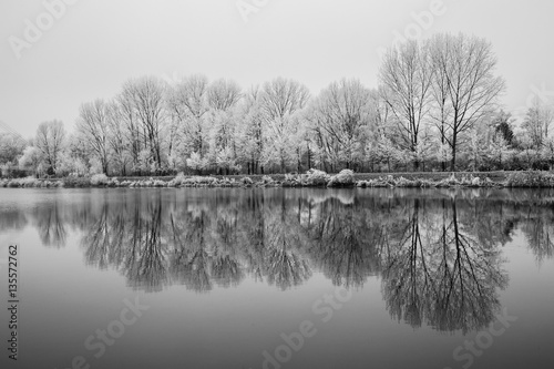 Frozen Nature By River Elbe-Celakovice, Czech Rep.
