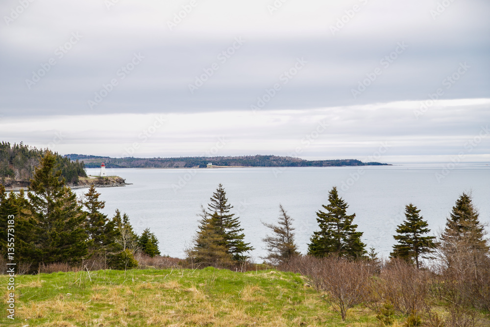 Obraz premium Lighthouse near forest