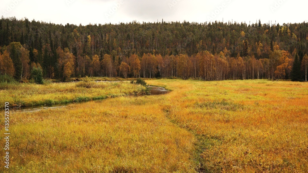 Fototapeta premium Autumn in Finland