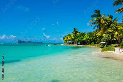Принти на полотні tropical beach with coconut palms on the background of the islan