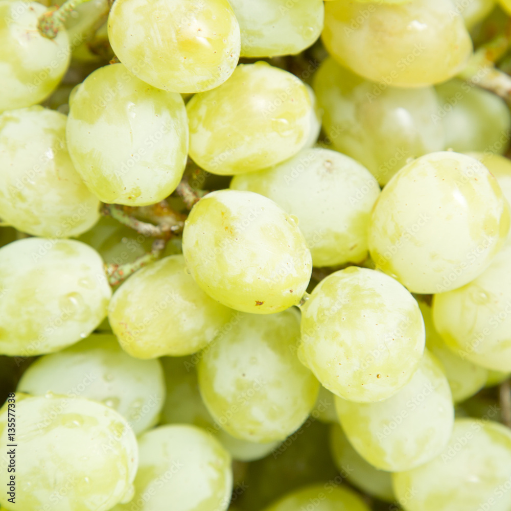 green grapes. close-up