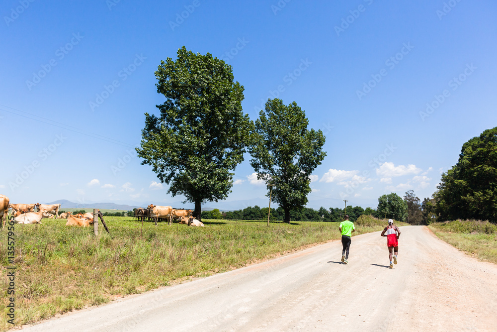 Obraz premium Marathon Runners Farmlands