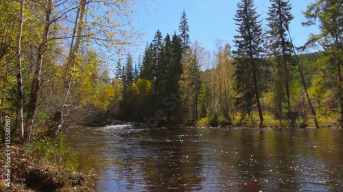 Beautiful autumn landscape. The mountain river flows in the middle of the woods photo