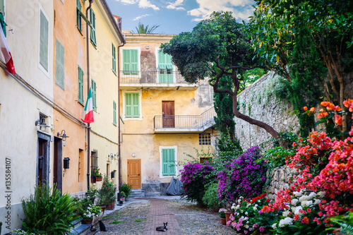 Fototapeta Naklejka Na Ścianę i Meble -  The yard with many flowers in the ancient town of Ventimiglia. Italy.