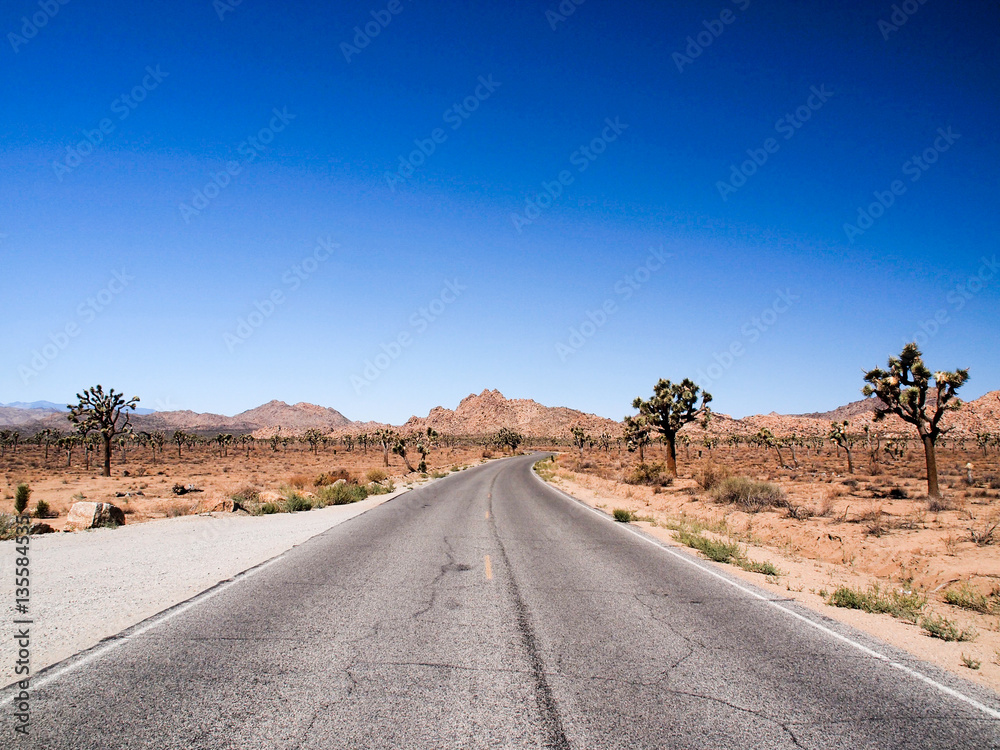 Road trough Joshua Tree National Park, Mojave Desert, California