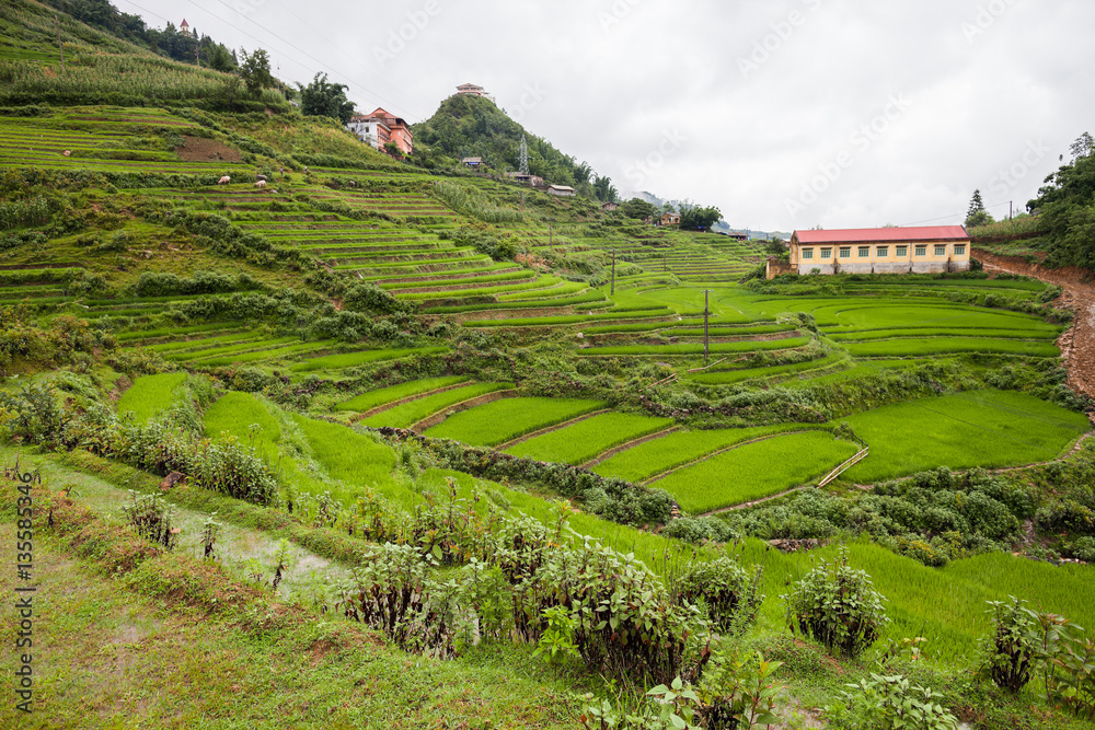 Green field terrace on mountain with village on ground in raining season located at SAPA Vietnam 