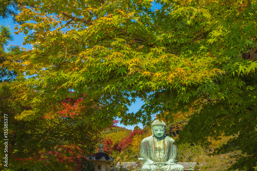 The Great Buddha in Kamakura. Located in Kamakura, Kanagawa Prefecture Japan.