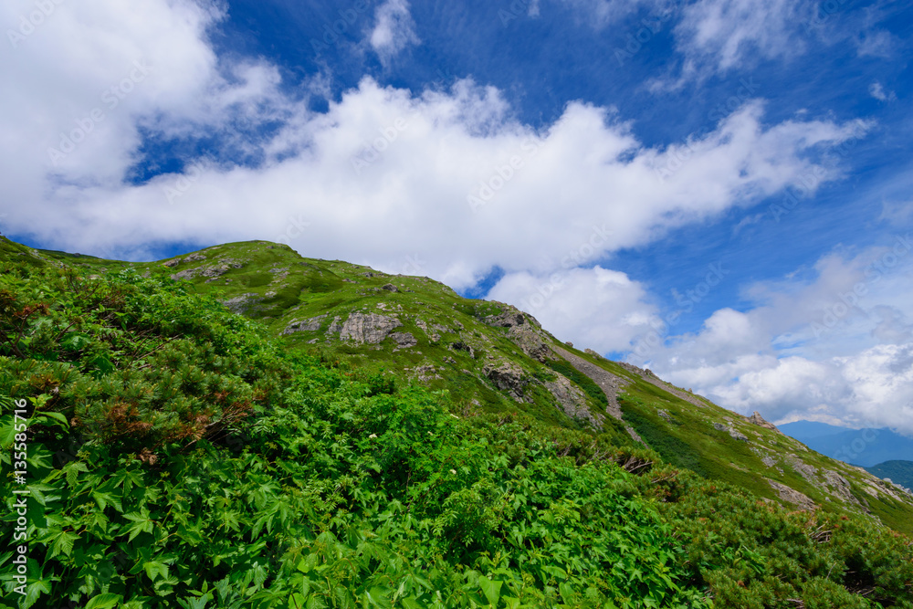 Obraz premium 長野 北アルプス 白馬岳