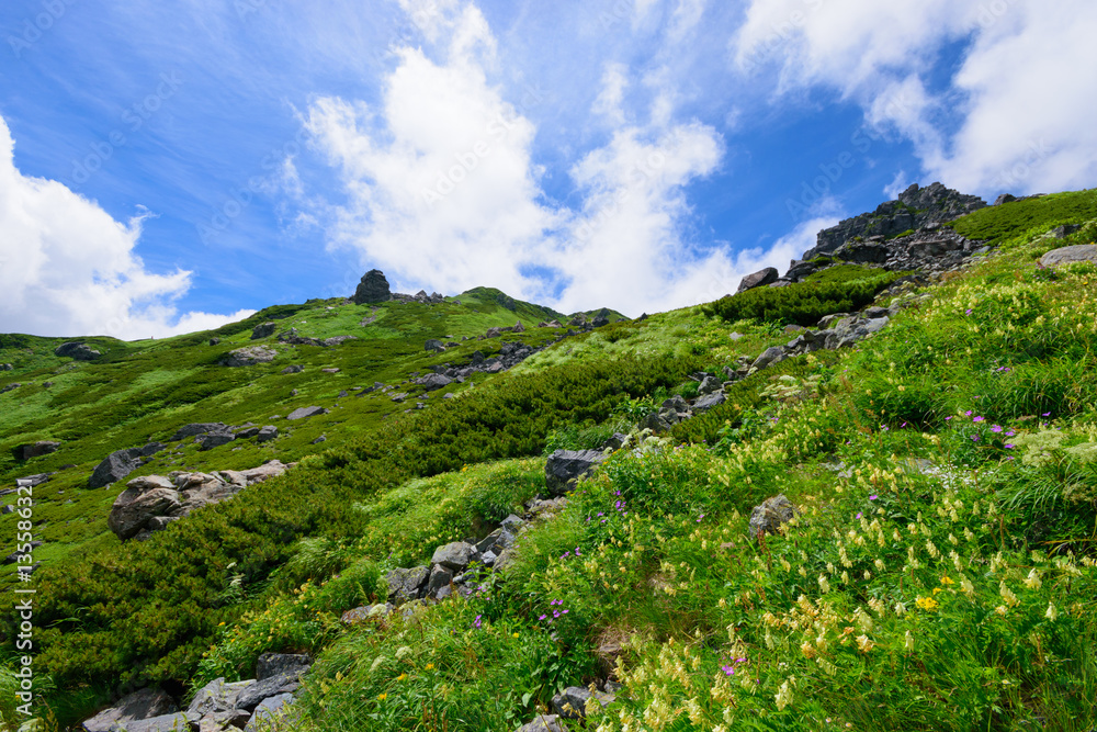 Obraz premium 長野 北アルプス 白馬岳