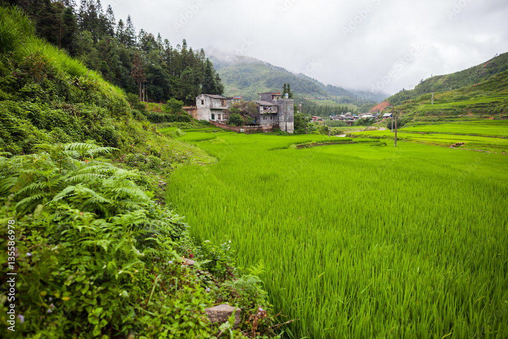 Green rice terrace on mountain view and village at ground under  located at Vietnam 