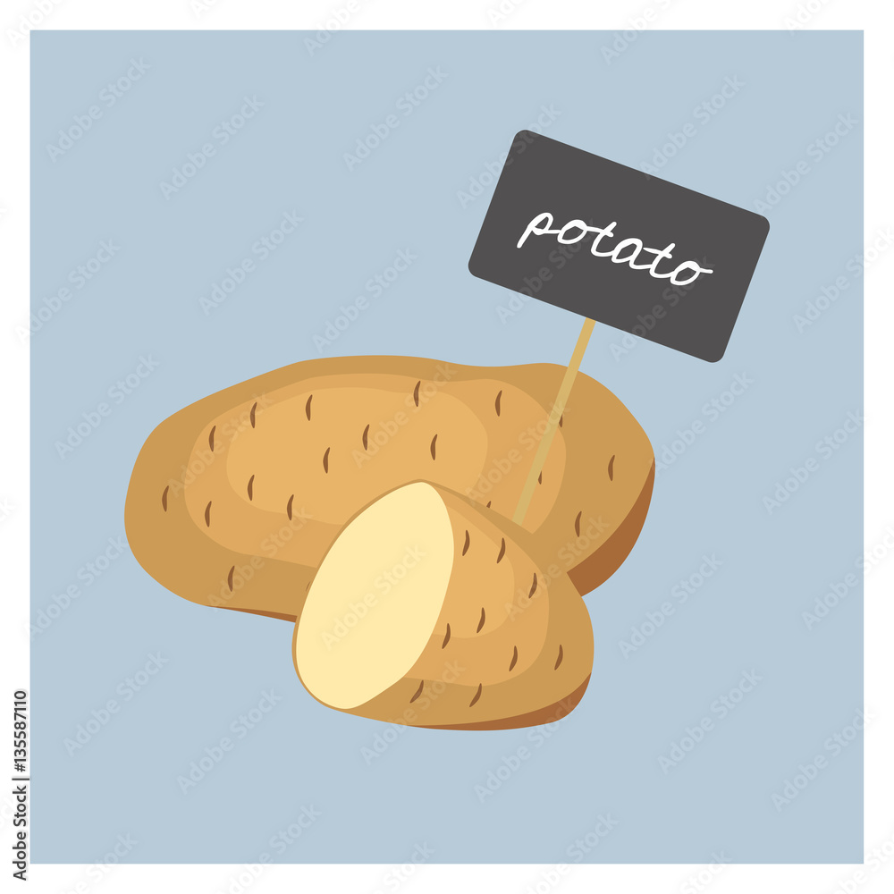 Vector Vegetable - Potato Vector Vegetable - Potato