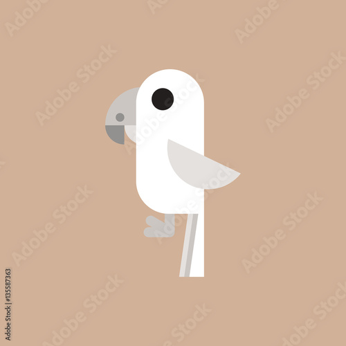 baby parrot