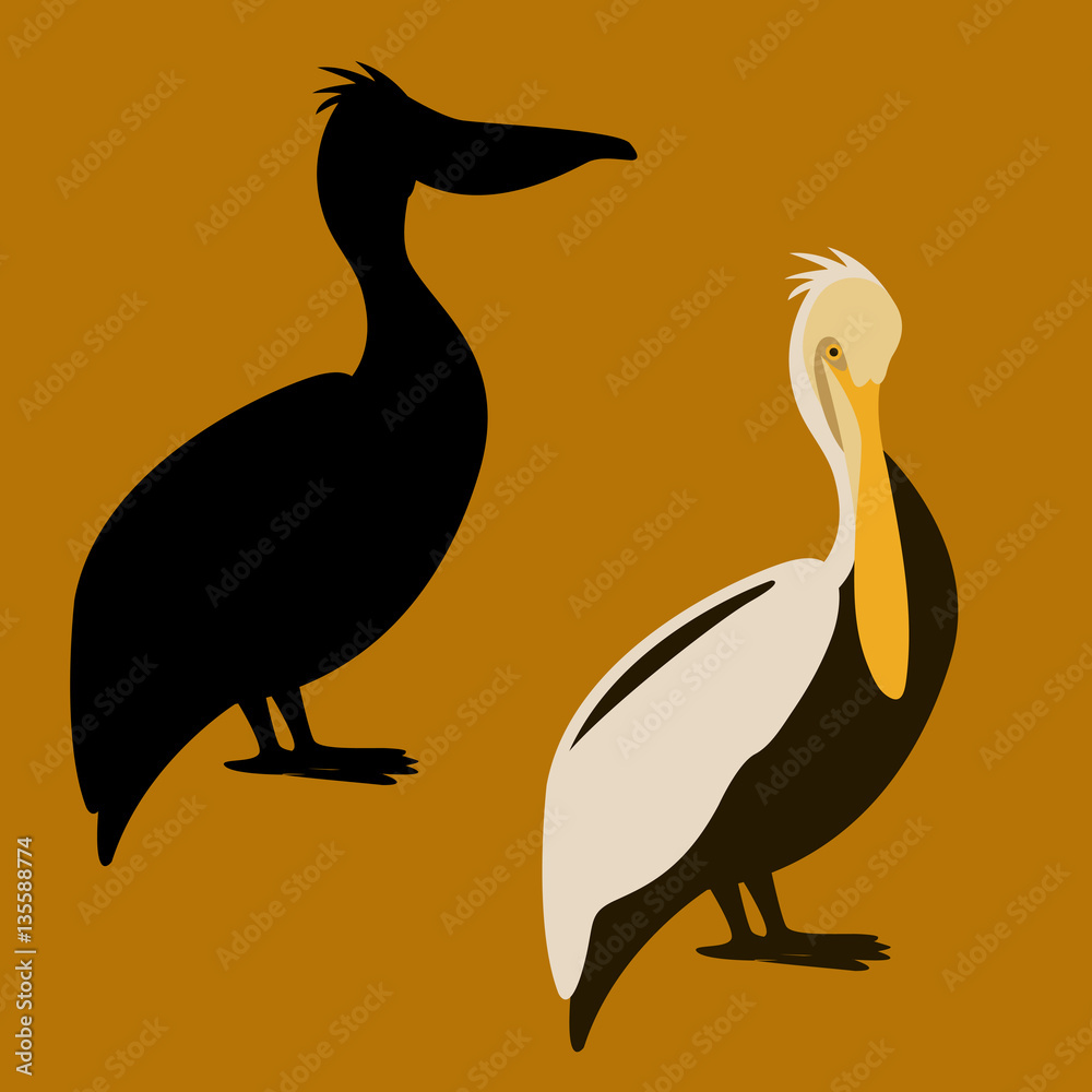 vector illustration style Pelican Flat