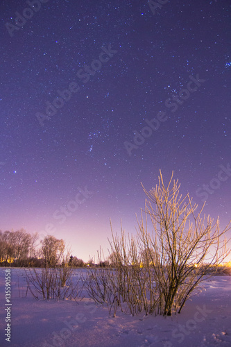 Sky full of stars above snowy winter village landscape © photo_superteam
