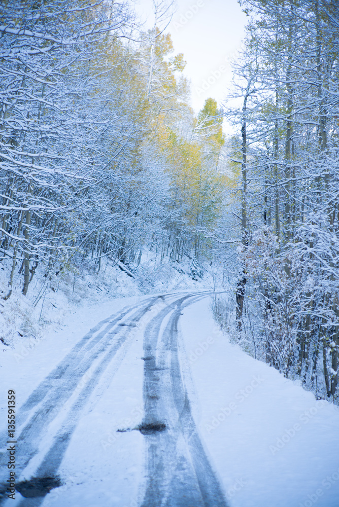 Obraz premium snow road