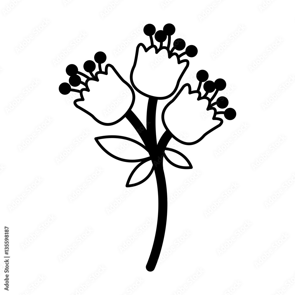 flower decorative isolated icon vector illustration design flower decorative isolated icon vector illustration design