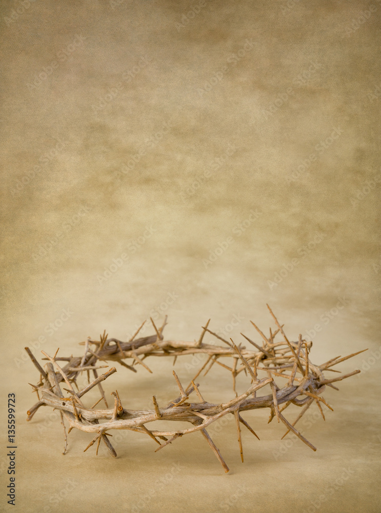 Fototapeta premium Crown of thorns on grunge wallpaper