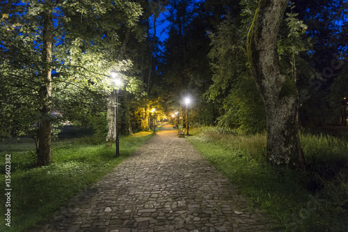 Lighted avenue in a park in the evening. Zakopane. Poland photo