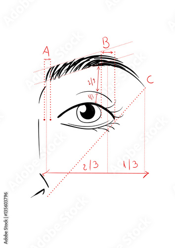 Shaping The Eyebrows