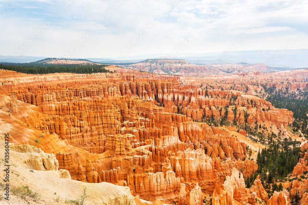 Bryce Canyon landscape from the top of mountain