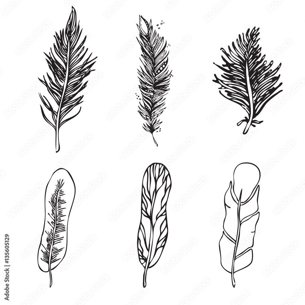 Set of Ethnic Feathers on a white background. Vintage Artistical Set of Ethnic Feathers on a white background. Vintage Artistical